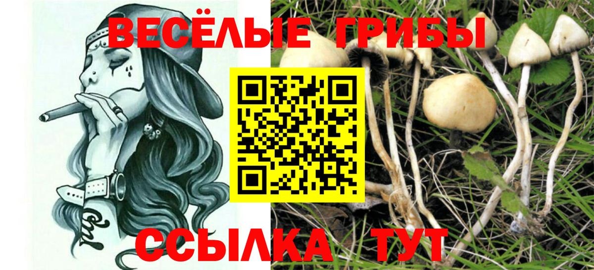 Галлюциногенные грибы Magic Shrooms  Вход с VPN  Королёв 