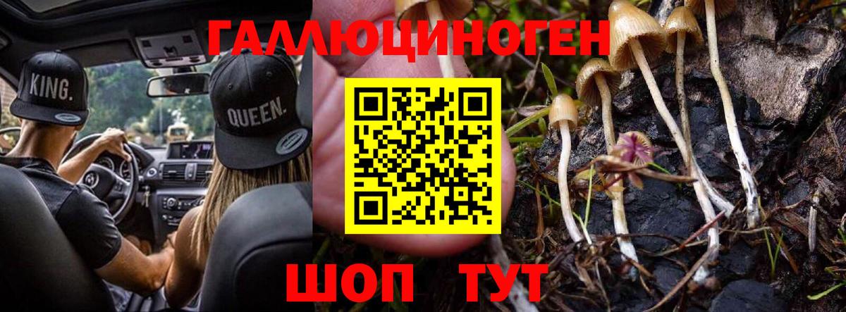 Галлюциногенные грибы мицелий Королёв